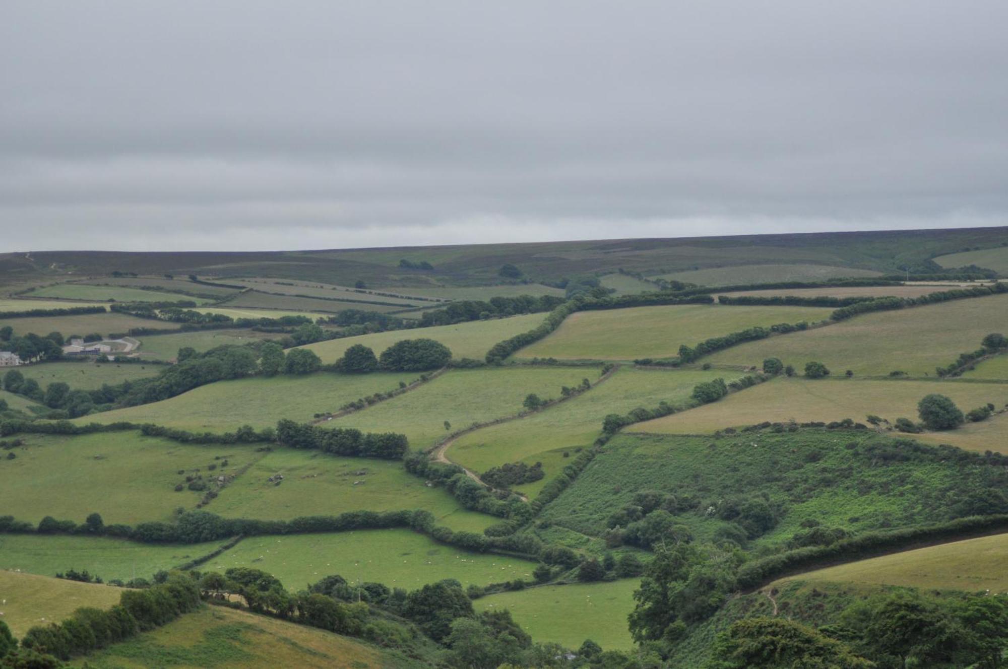Coombe Farm Bed & Breakfast Lynton Dış mekan fotoğraf