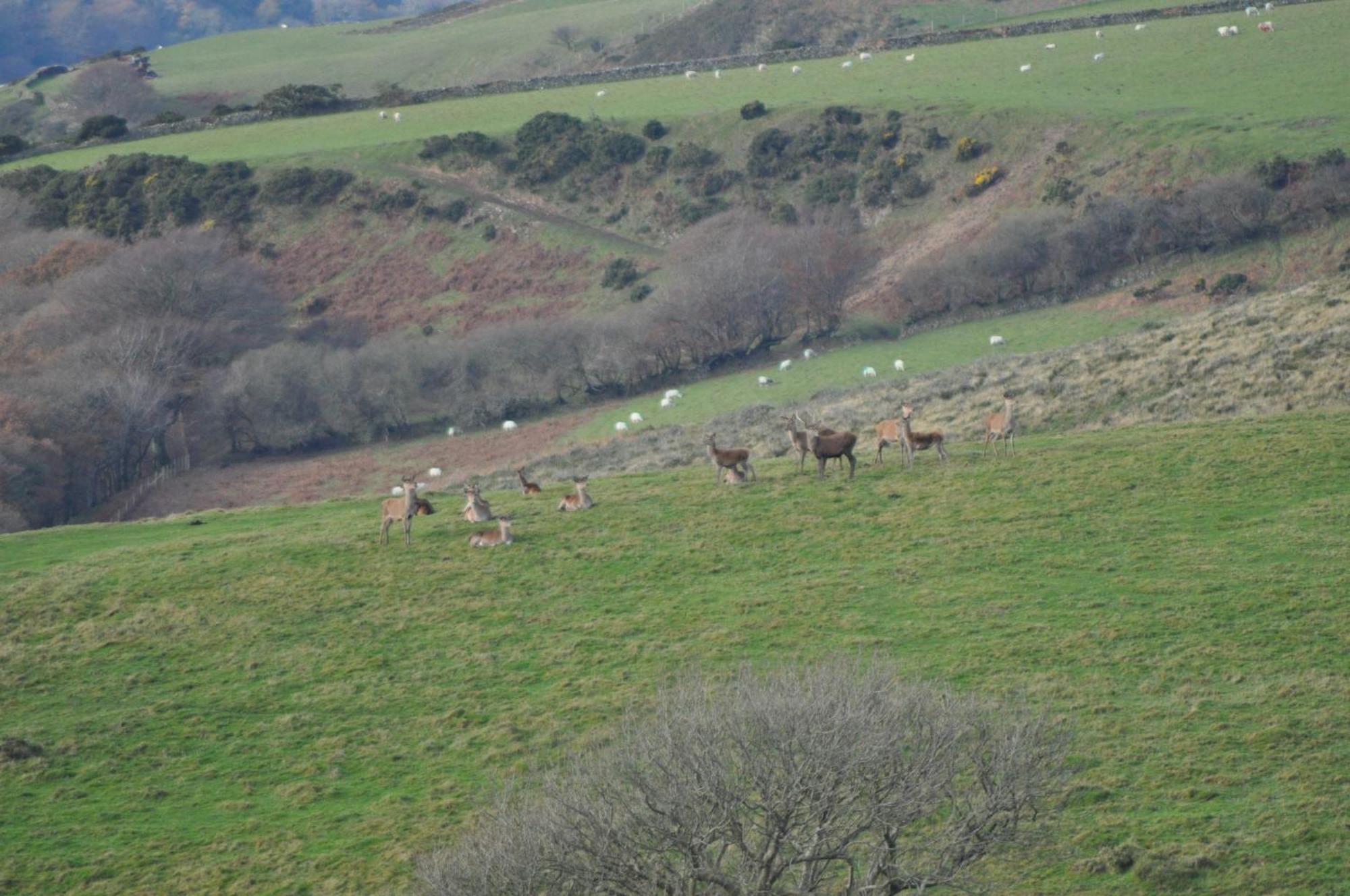 Coombe Farm Bed & Breakfast Lynton Dış mekan fotoğraf