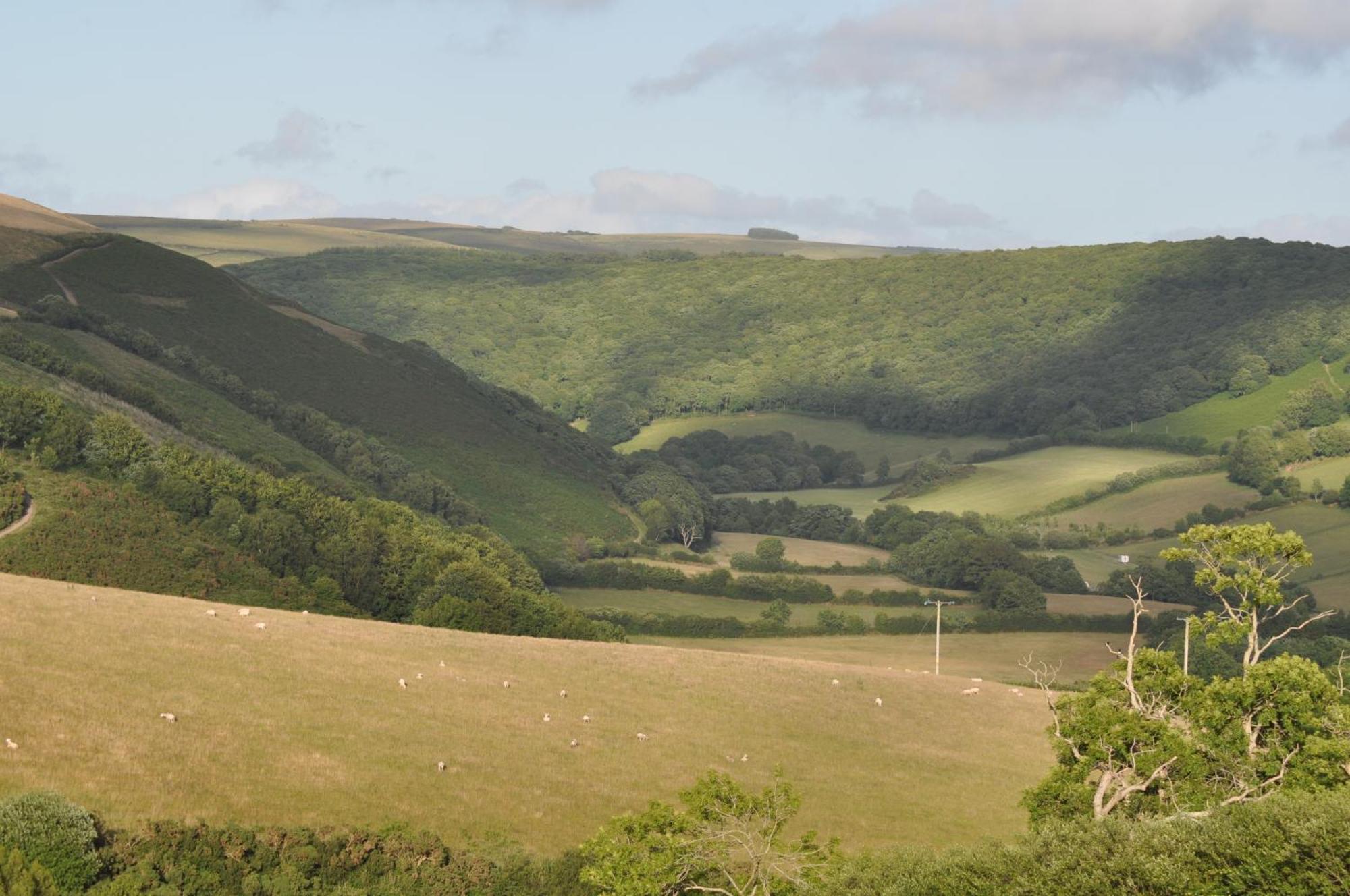 Coombe Farm Bed & Breakfast Lynton Dış mekan fotoğraf